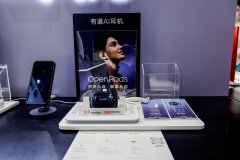 生成小我专属情感轨迹取压力变